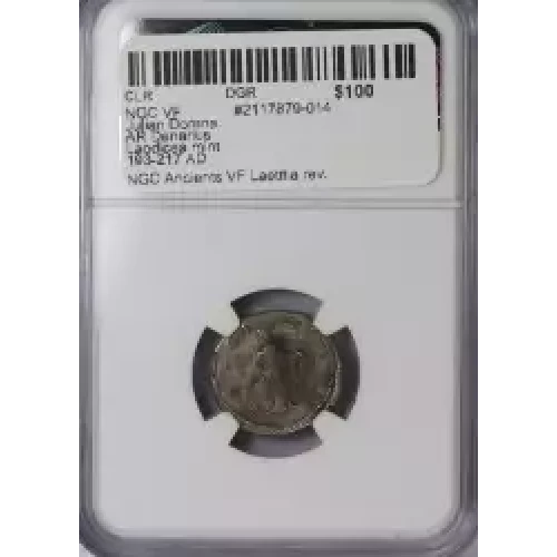 Ancient Roman Coin (3)