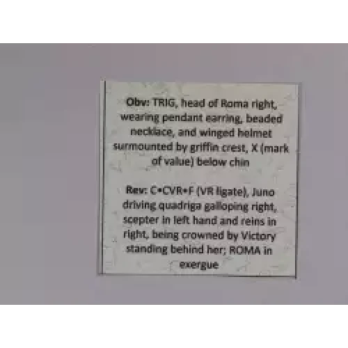 Ancient Roman Coin (5)