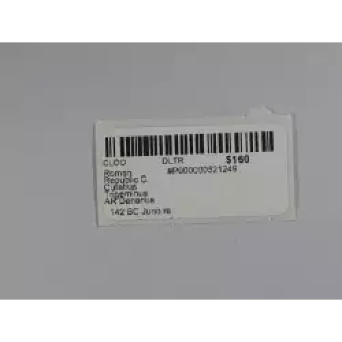 Ancient Roman Coin (3)