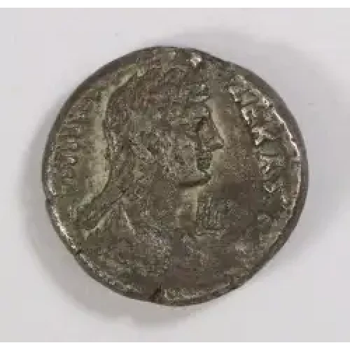Ancient Roman Coin (3)