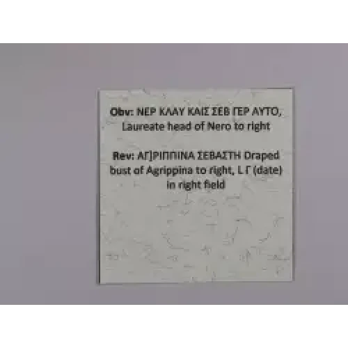 Ancient Roman Coin (5)