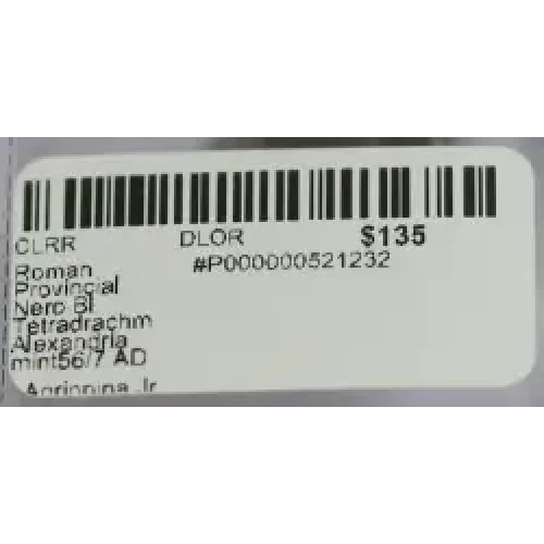 Ancient Roman Coin (2)