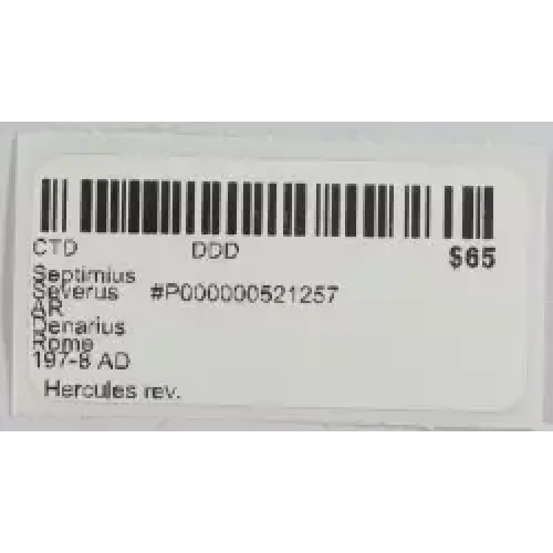 Ancient Roman Coin (3)