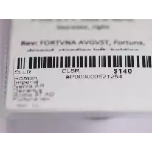 Ancient Roman Coin (5)