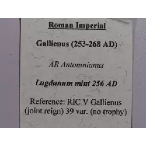 Ancient Roman Coin (4)