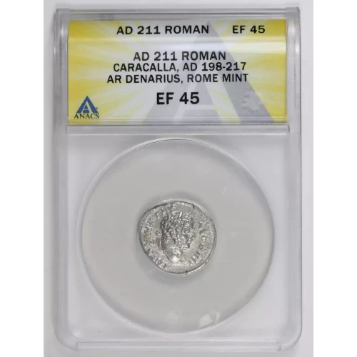 Ancient Roman Coin