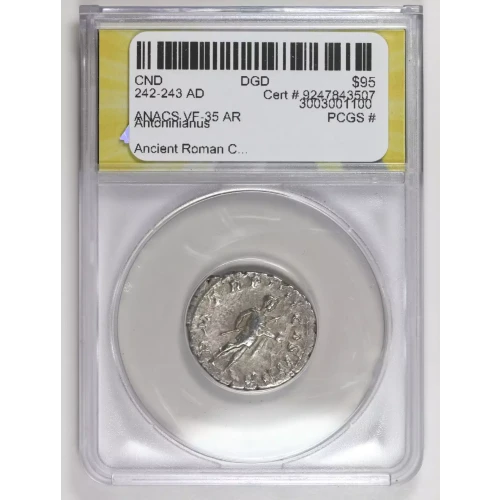 Ancient Roman Coin