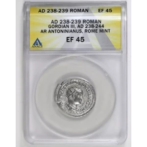Ancient Roman Coin