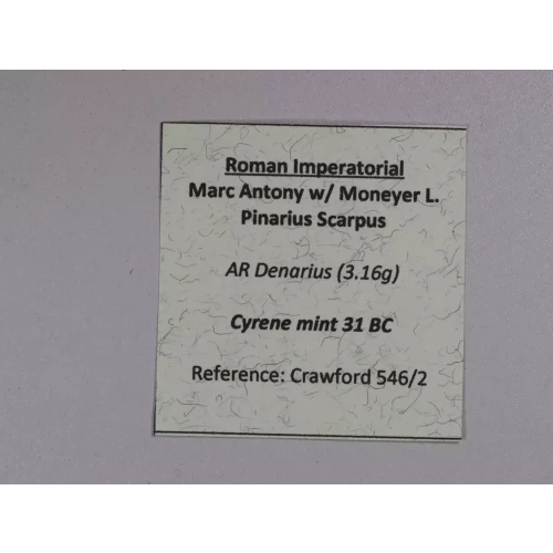 Ancient Roman Coin (5)