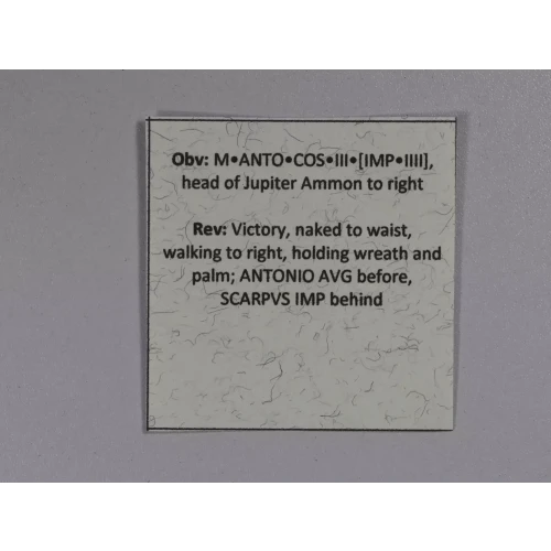 Ancient Roman Coin (4)