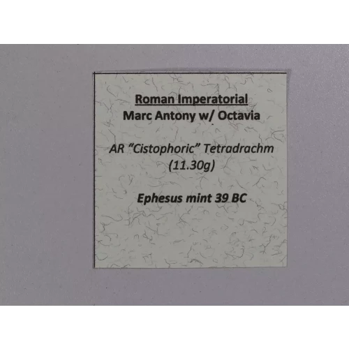 Ancient Roman Coin (4)