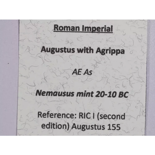 Ancient Roman Coin (4)