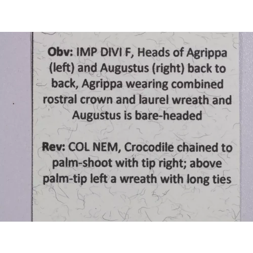 Ancient Roman Coin (5)