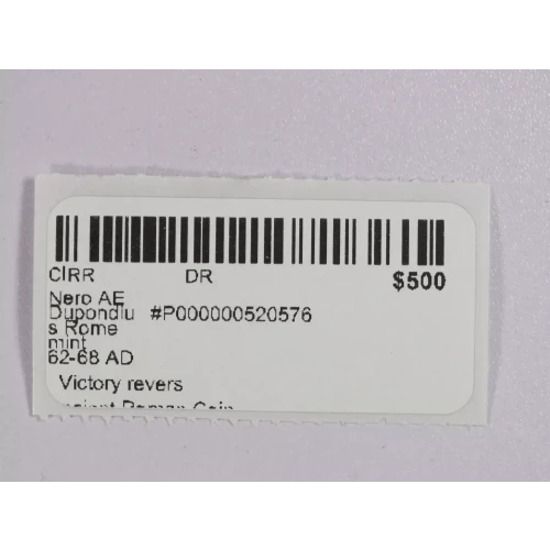 Ancient Roman Coin (5)