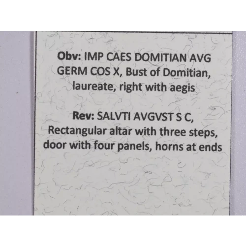 Ancient Roman Coin (4)