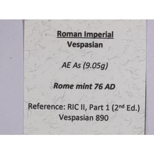 Ancient Roman Coin (4)