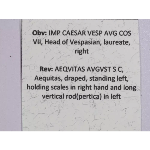 Ancient Roman Coin (5)