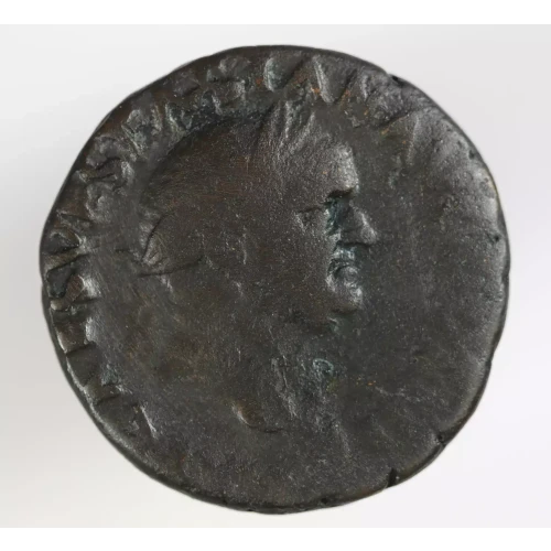 Ancient Roman Coin (2)