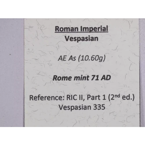 Ancient Roman Coin (4)