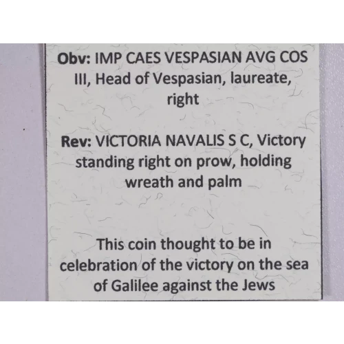 Ancient Roman Coin (5)