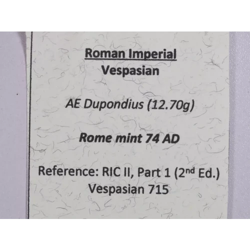 Ancient Roman Coin (4)