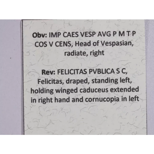 Ancient Roman Coin (5)