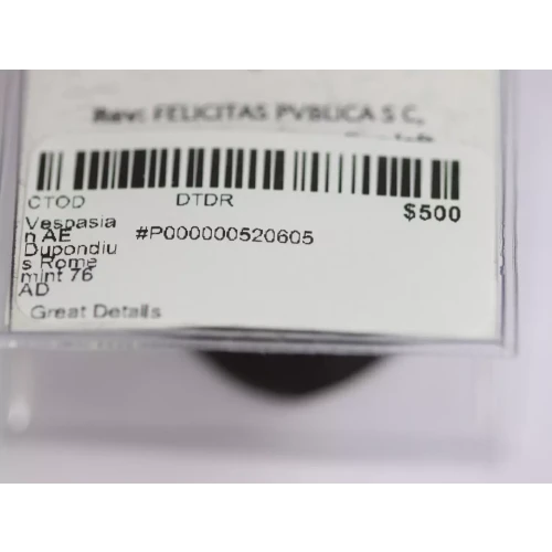 Ancient Roman Coin (5)