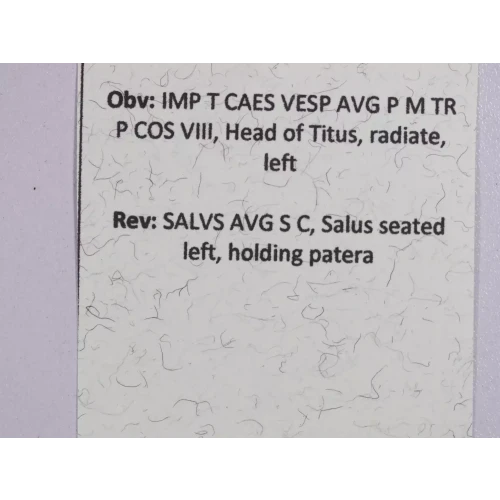 Ancient Roman Coin (5)