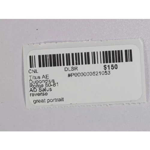 Ancient Roman Coin (3)