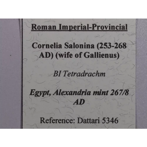 Ancient Roman Coin (4)