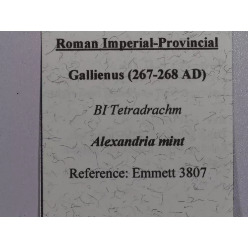 Ancient Roman Coin (4)