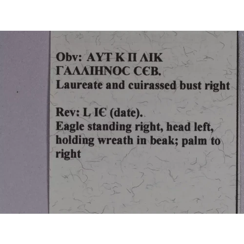 Ancient Roman Coin (5)