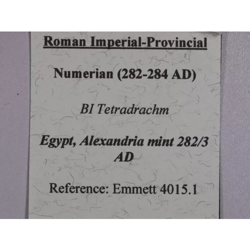 Ancient Roman Coin (4)