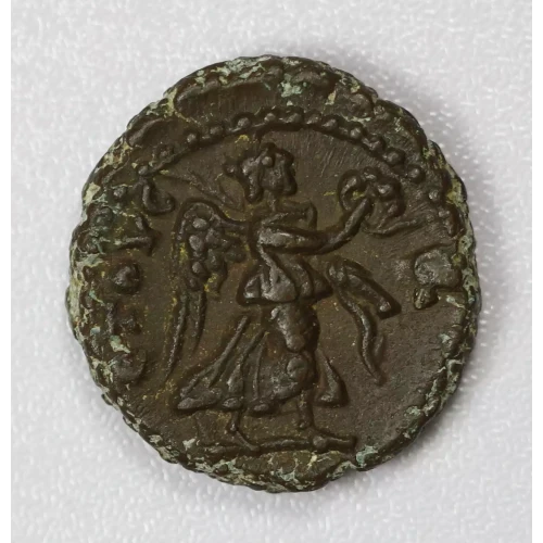 Ancient Roman Coin (2)