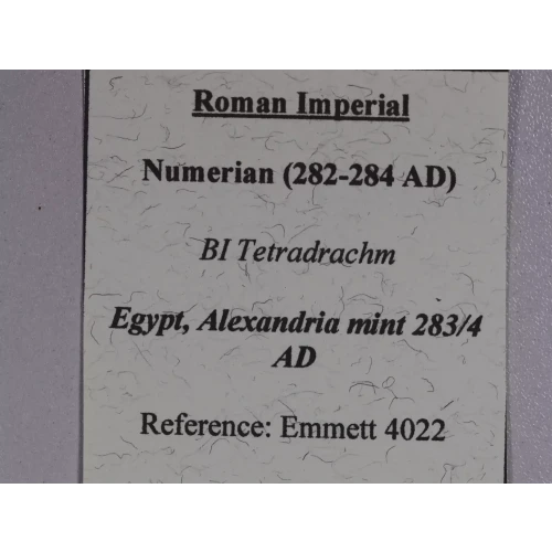 Ancient Roman Coin (4)