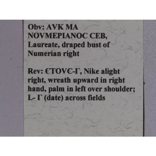 Ancient Roman Coin (5)