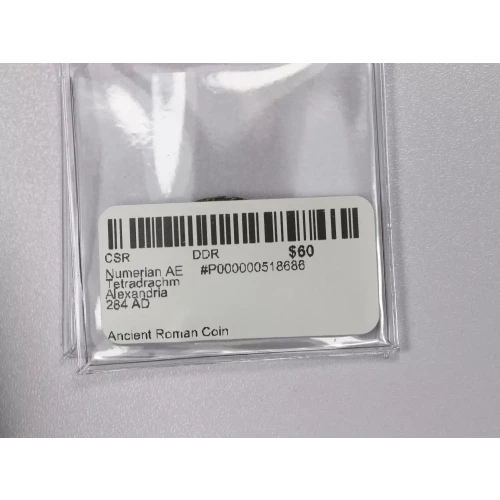 Ancient Roman Coin (3)