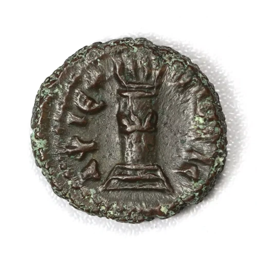 Ancient Roman Coin