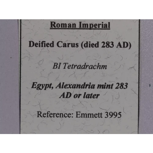 Ancient Roman Coin (4)