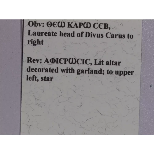 Ancient Roman Coin (5)