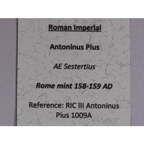 Ancient Roman Coin (4)