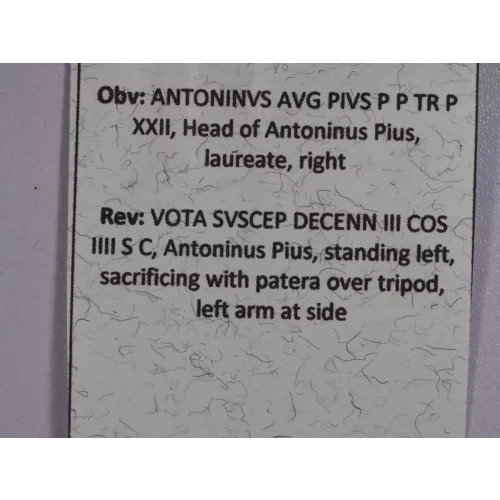 Ancient Roman Coin (5)