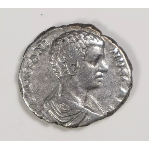 Ancient Roman Coin (2)
