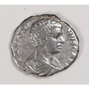 Ancient Roman Coin (2)