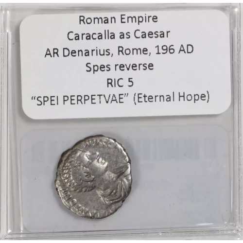 Ancient Roman Coin (4)