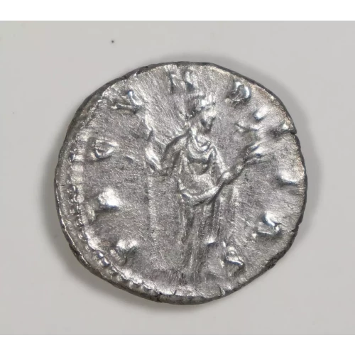 Ancient Roman Coin (2)