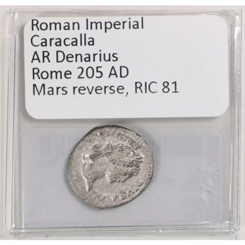 Ancient Roman Coin (3)