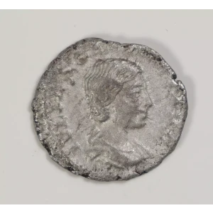 Ancient Roman Coin (2)