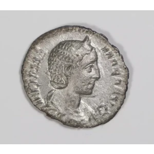 Ancient Roman Coin (2)
