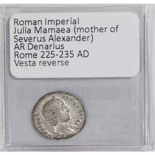 Ancient Roman Coin (3)